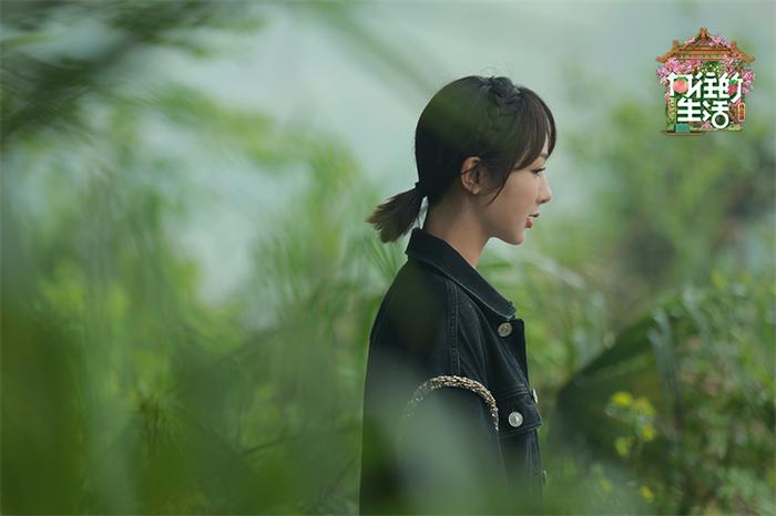杨紫.jpg