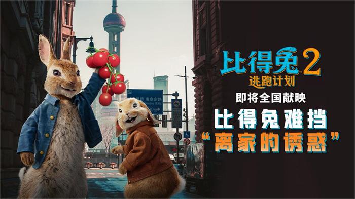 焦点图-1280-720.jpg