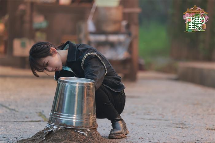杨紫.jpg