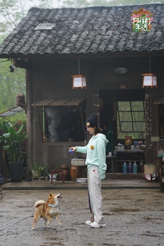 杨紫.jpg