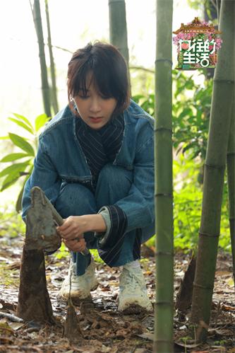 杨紫.jpg