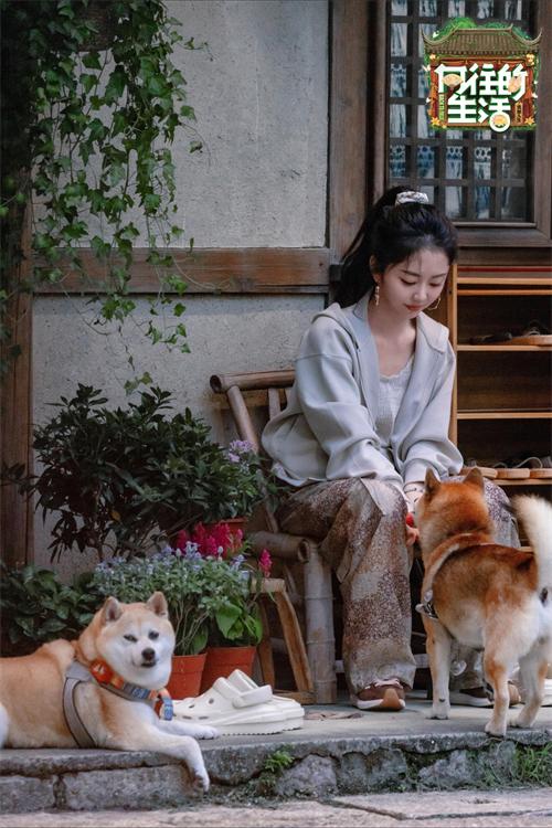 1761279416501335.jpg 8.jpg